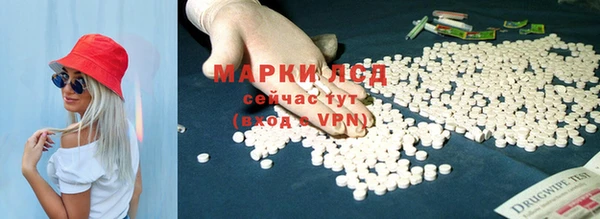 эйфоретик Корсаков