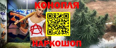 эйфоретик Бийск
