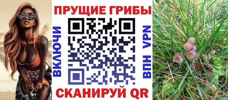 Псилоцибиновые грибы MAGIC MUSHROOMS  как найти наркотики  Домодедово 