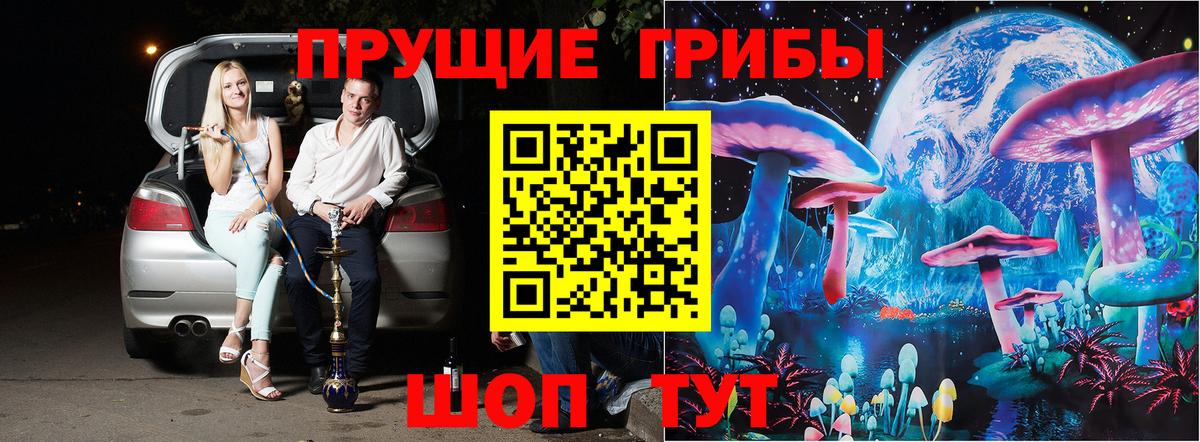 Псилоцибиновые грибы Psilocybe Домодедово